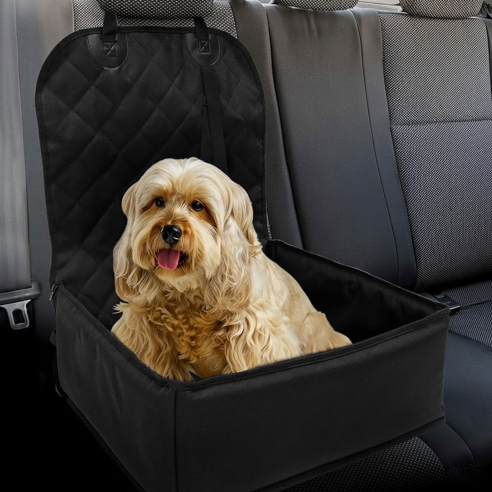 Waterproof Dog Booster Car Seat with 2 Safety Harnesses – Secure Travel for Small & Medium Dogs