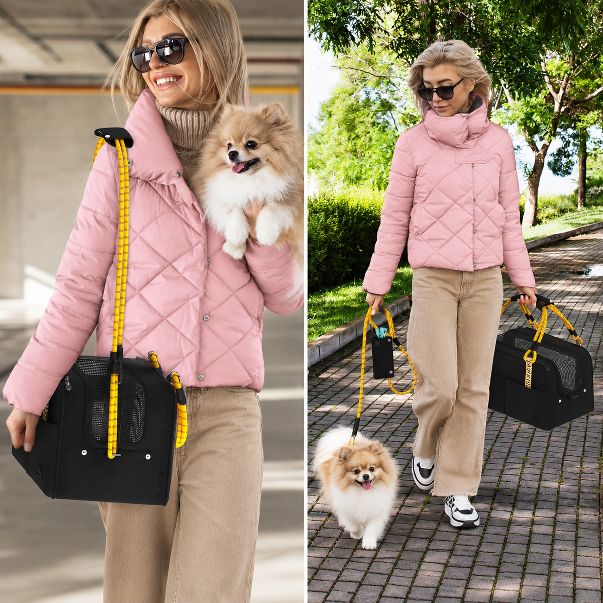 Womancarryingasmalldogwithblackpetcarrier