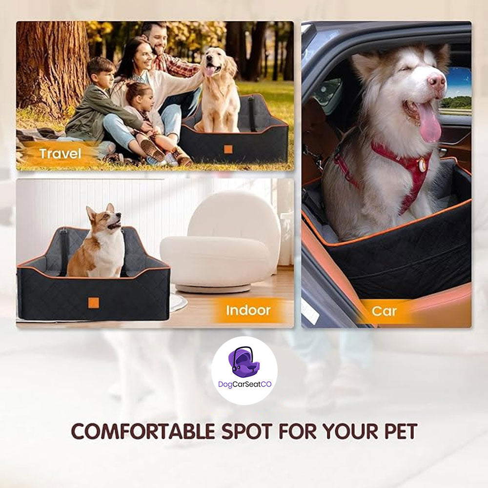 comfortable spot for your pet