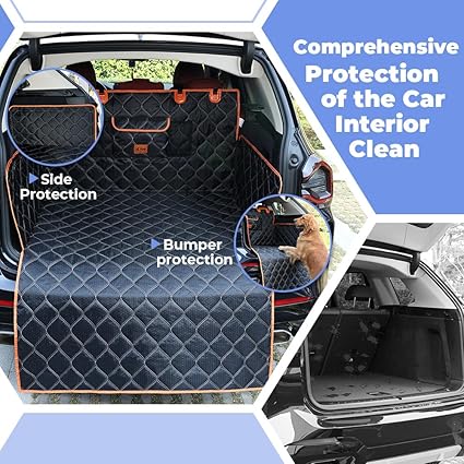 comprehensive pretection of the car interior clean
