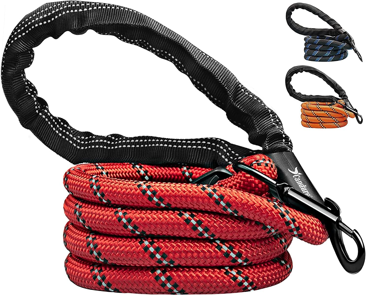 Candure Dog Leash 5 FT, Soft Padded Rope Handle, Anti Slip Grip, Reflective Strong Lead for Puppy, Medium and Large Dogs