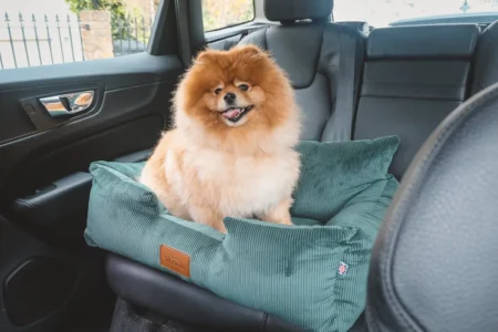 luxury large dog car seat - country green