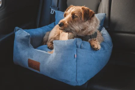 luxury isofix dog car seat - denim blue