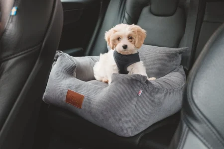 3.luxury Isofix dog car seat - gunmetal Grey