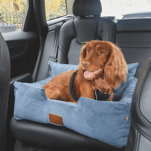 Dog Car Seat