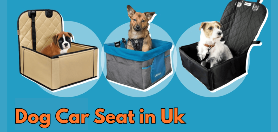 Dog car seat in Uk