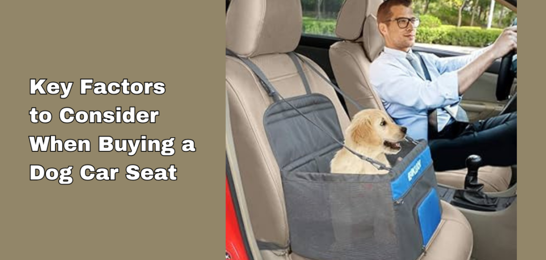 Dog car seat