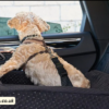 dogcarseatco.co.uk