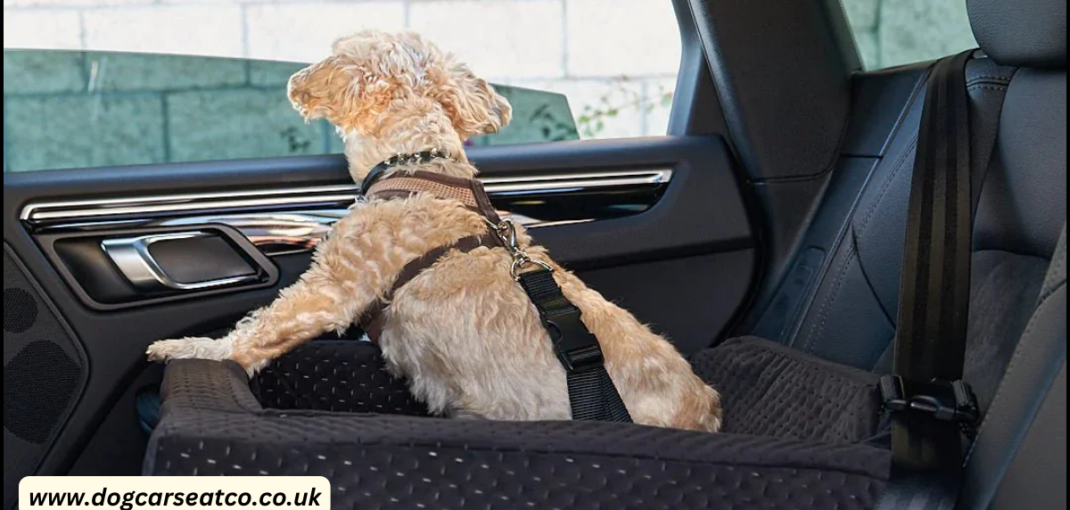 dogcarseatco.co.uk