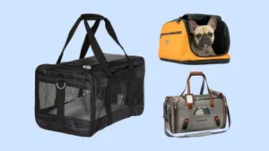 dog car seat
