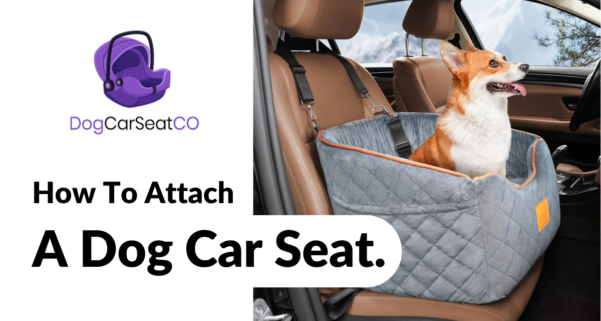 How To Attach A Dog Car Seat.