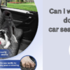 Can I wash my dog’s car seat cover?