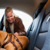 Is Your Dog Safe Enough in the Car? Simple Safety Checklist for Every Trip