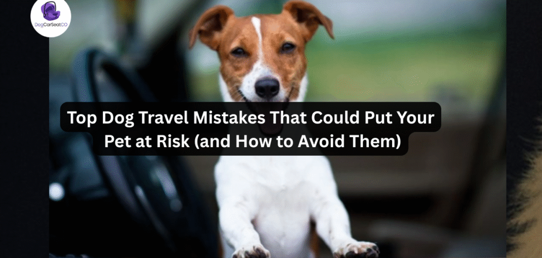 Top Dog Travel Mistakes That Could Put Your Pet at Risk (and How to Avoid Them)