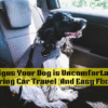 5 Signs Your Dog is Uncomfortable During Car Travel (And Easy Fixes)