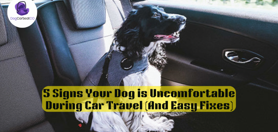 5 Signs Your Dog is Uncomfortable During Car Travel (And Easy Fixes)