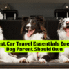 Best Car Travel Essentials Every Dog Parent Should Own