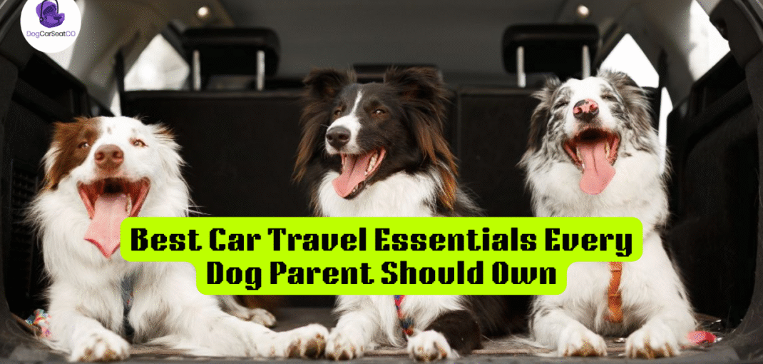 Best Car Travel Essentials Every Dog Parent Should Own