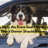 Can Dogs Sit in the Front Seat? Myths vs. Facts Every Owner Should Know