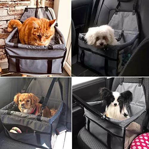 dog car seat
